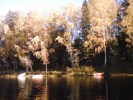 höstbild från älven